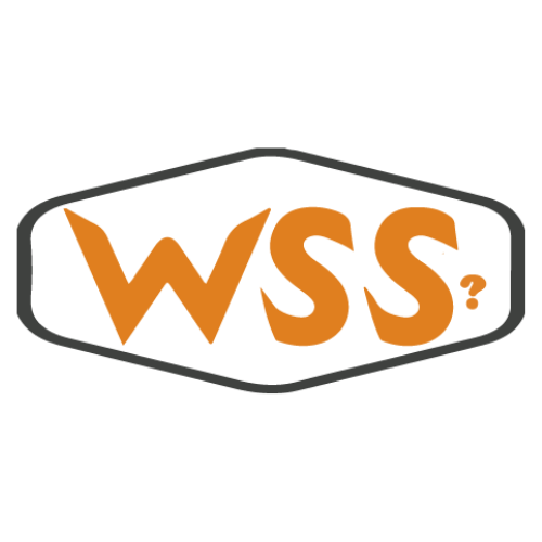 Solución WSS controlar accesos
